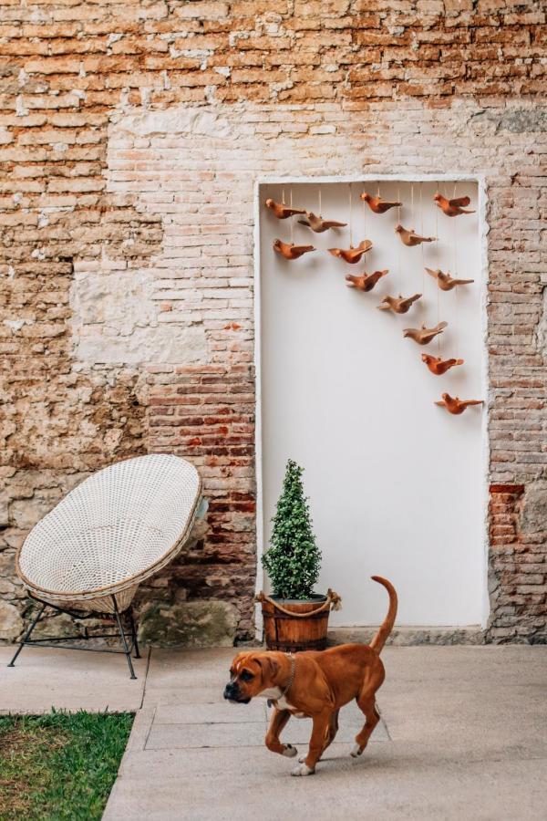Hotel Tabáa Oaxaca Kültér fotó